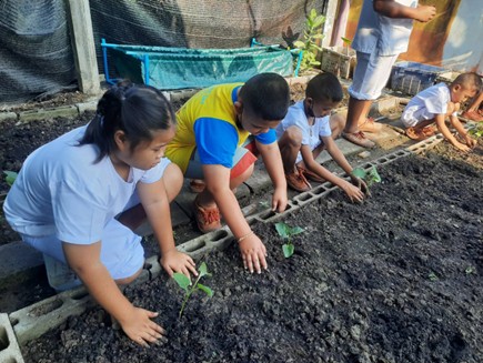 Market Garden Program